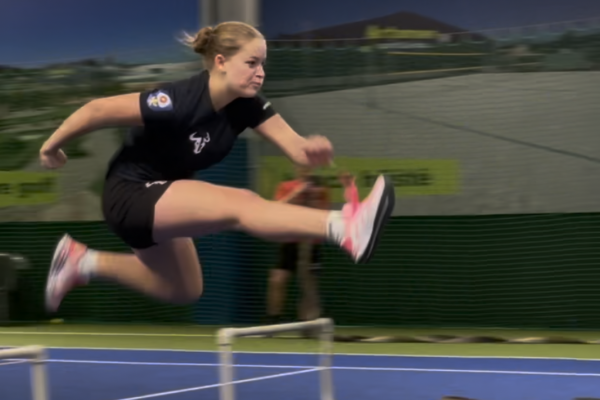 Trénink 19. 1. – překážky, poskoky, dynamické cviky