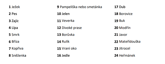 STOPY, STROMY, ROSTLINY